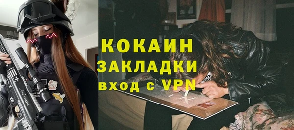 прущий лед Дмитриев