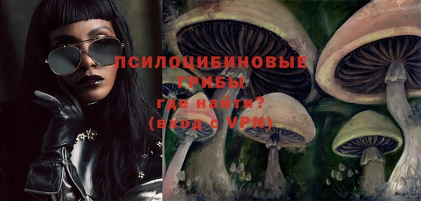 a pvp Дмитров