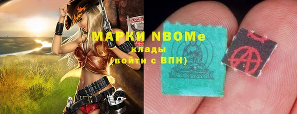 прущий лед Дмитриев