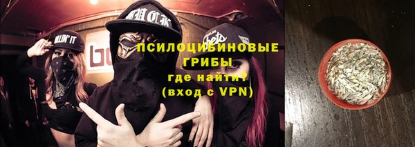 a pvp Дмитров