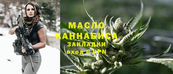 прущий лед Дмитриев
