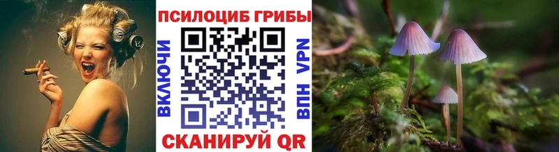 Галлюциногенные грибы мицелий  Купить  Сретенск 